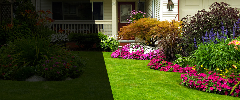 Baldwyn Landscapers