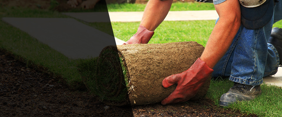 Baldwyn Landscapers